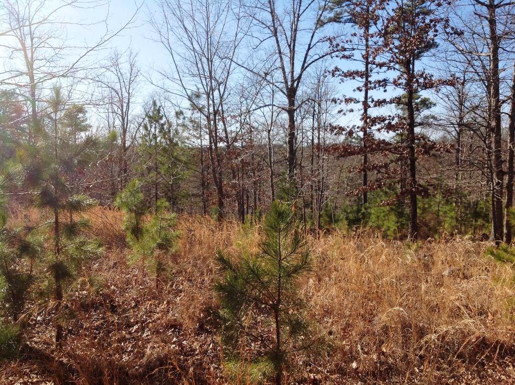 80 Acres Ventris & Gravely Hill Rd - Photo 1