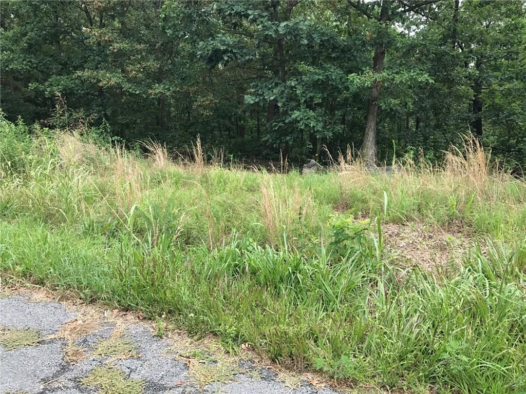 Lot 10 Fields Lane - Photo 1