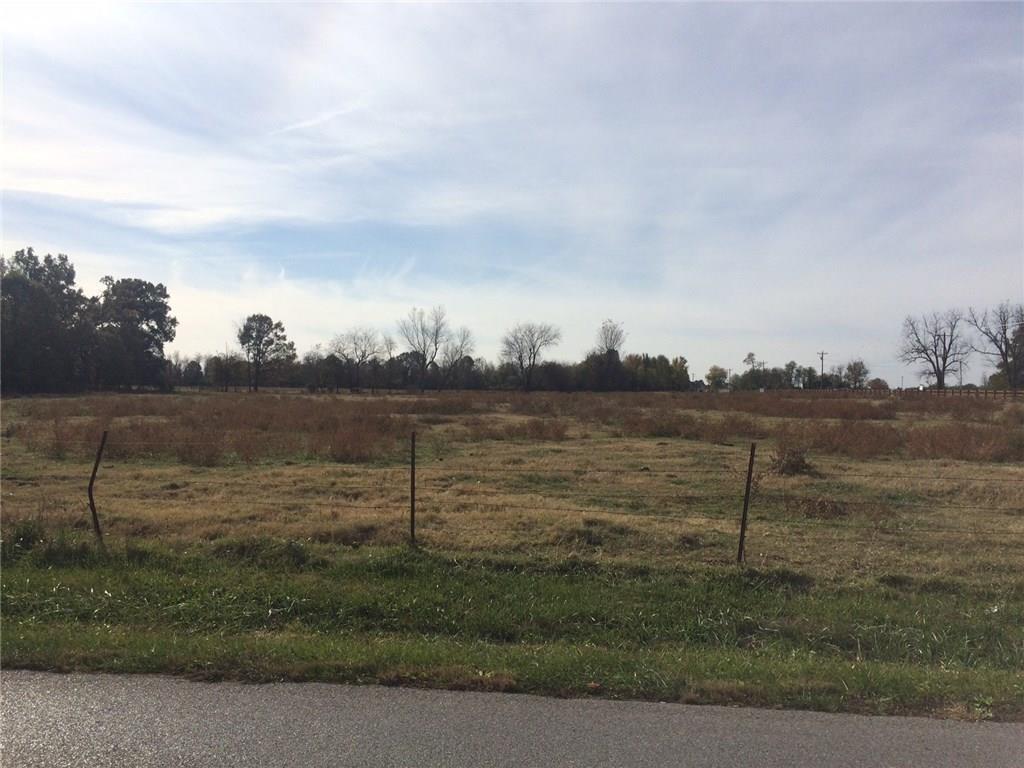 Goad Springs Road - Photo 1