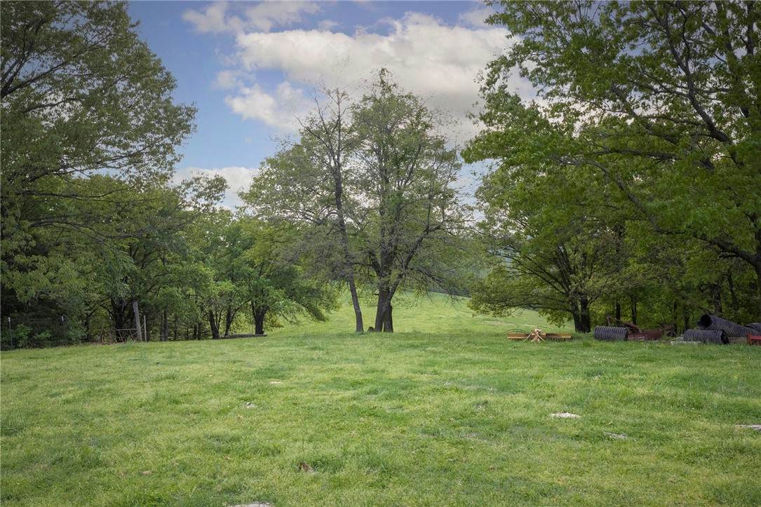 5810 Little Missouri Road - Photo 1