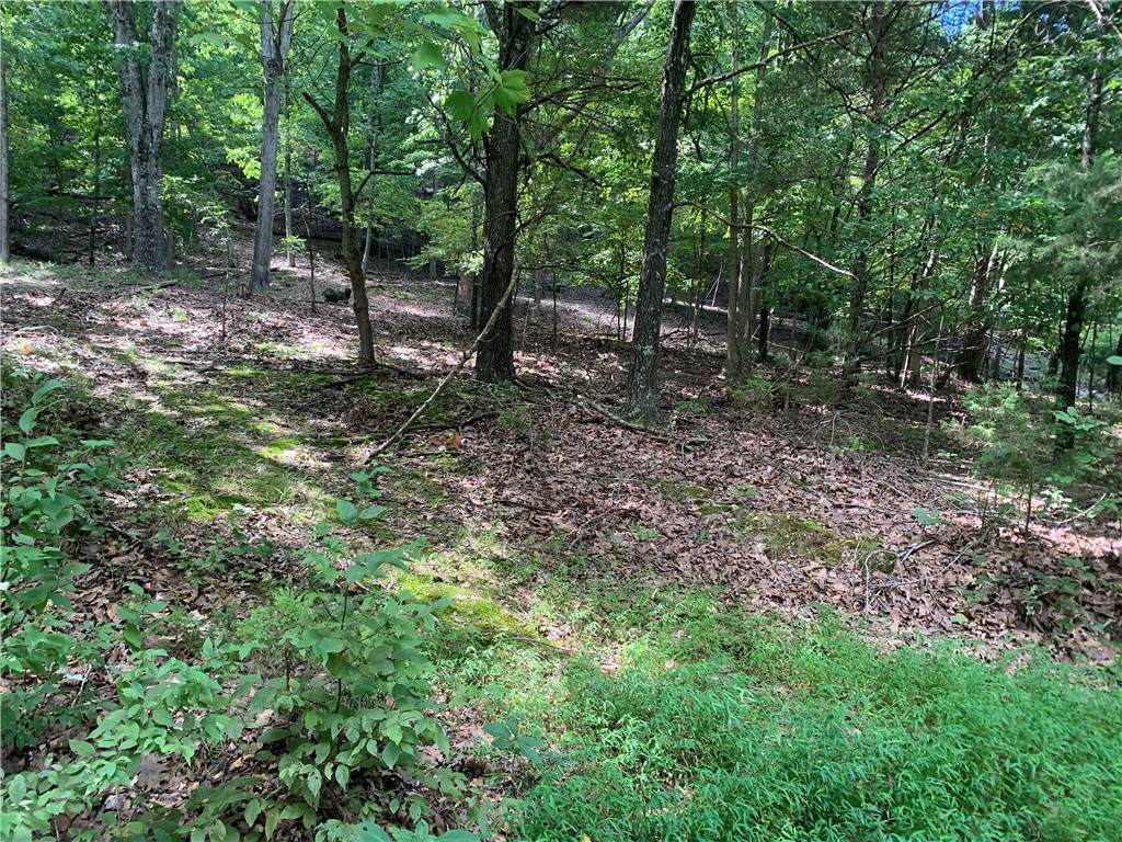 21580 Indian Creek Drive - Photo 1