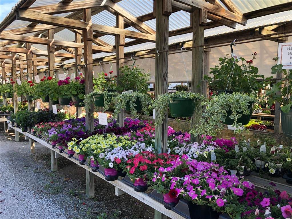 2798 Highway 23 - Photo 1