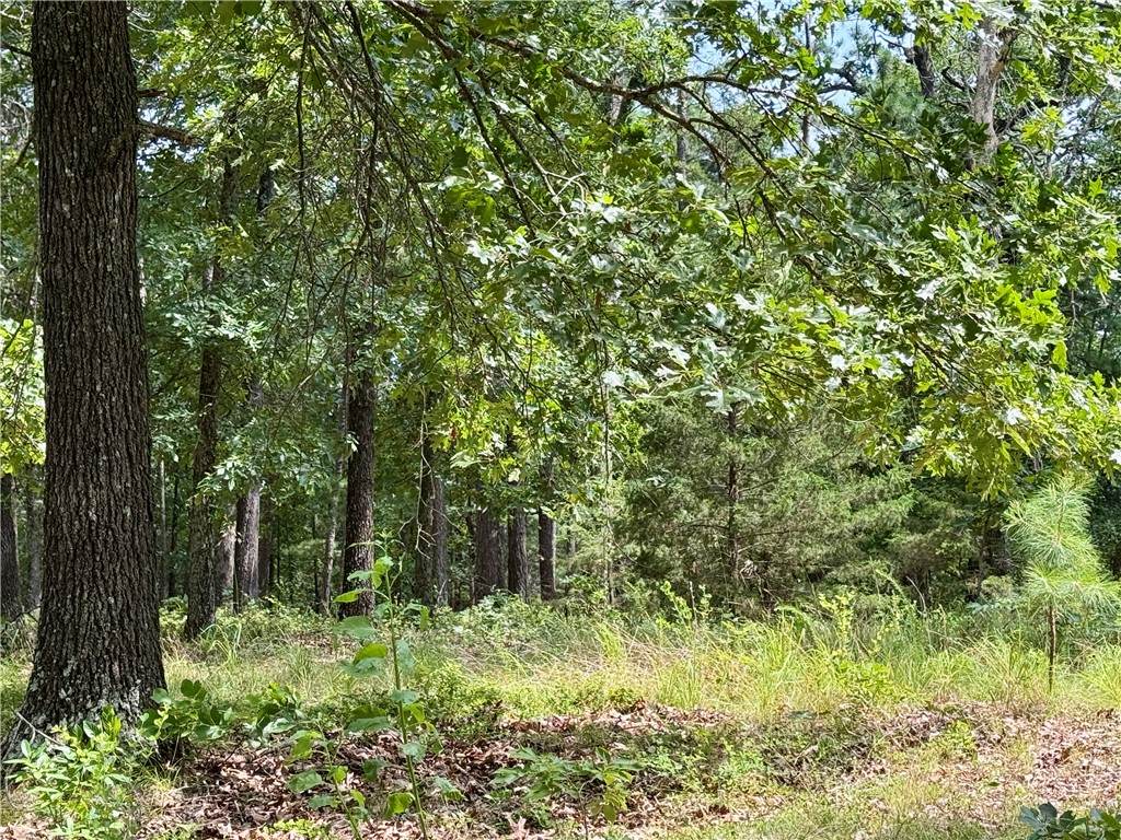 24550 Capps Ranches Road - Photo 1