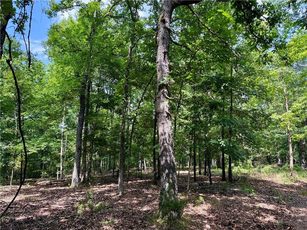 https://bt-photos.global.ssl.fastly.net/arkansas/orig_boomver_3_1354348-2.jpg