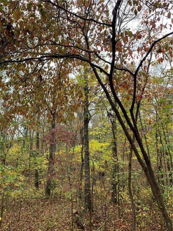 885 Road - Photo 1