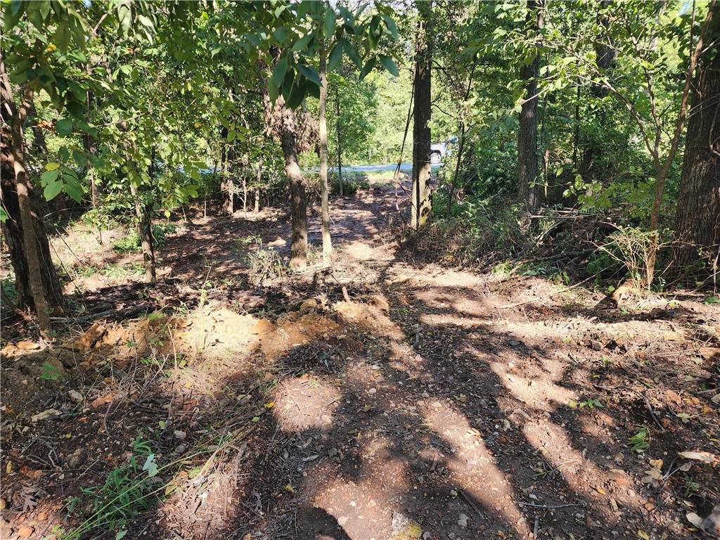https://bt-photos.global.ssl.fastly.net/arkansas/orig_boomver_4_1233737-2.jpg