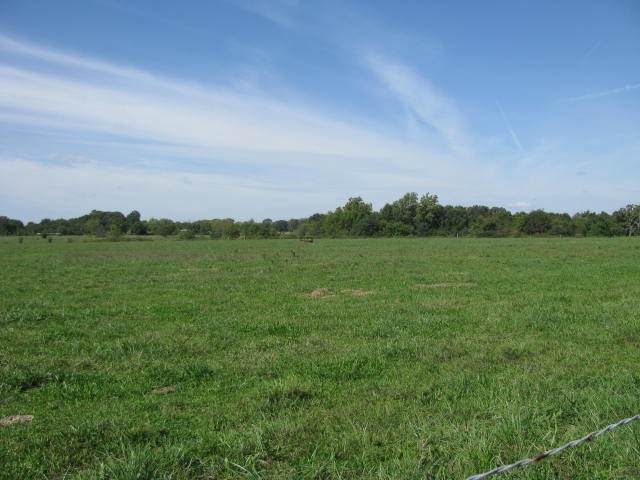13531 Mount Pleasant Road - Photo 1