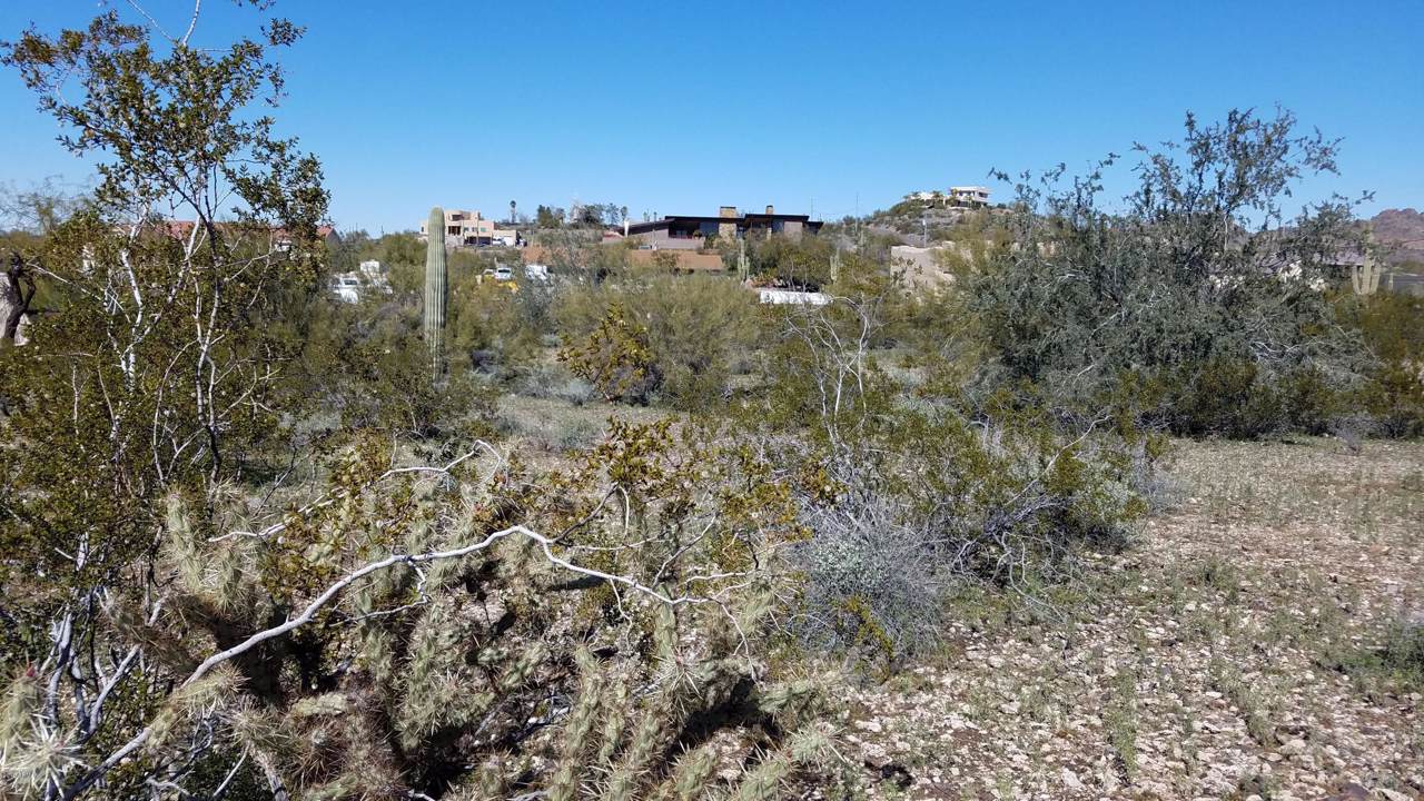 93XX Prickly Pear Trail - Photo 1