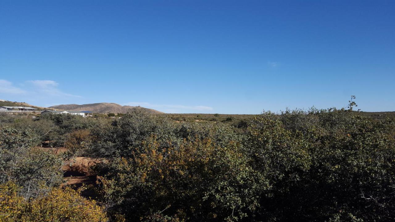 1545 Sitting Bull Drive - Photo 1