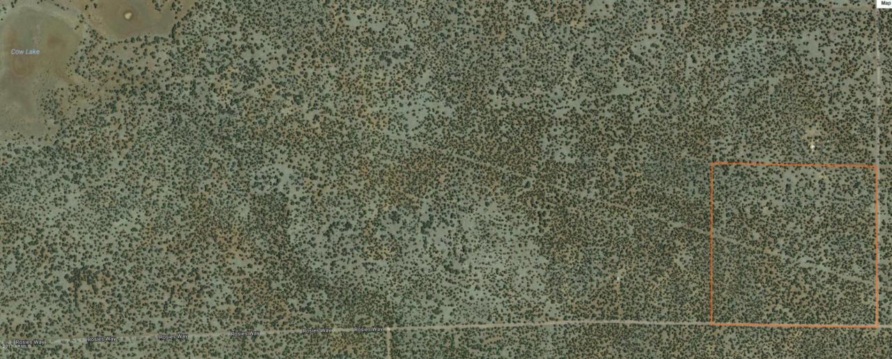 000 Raw Land - Photo 1