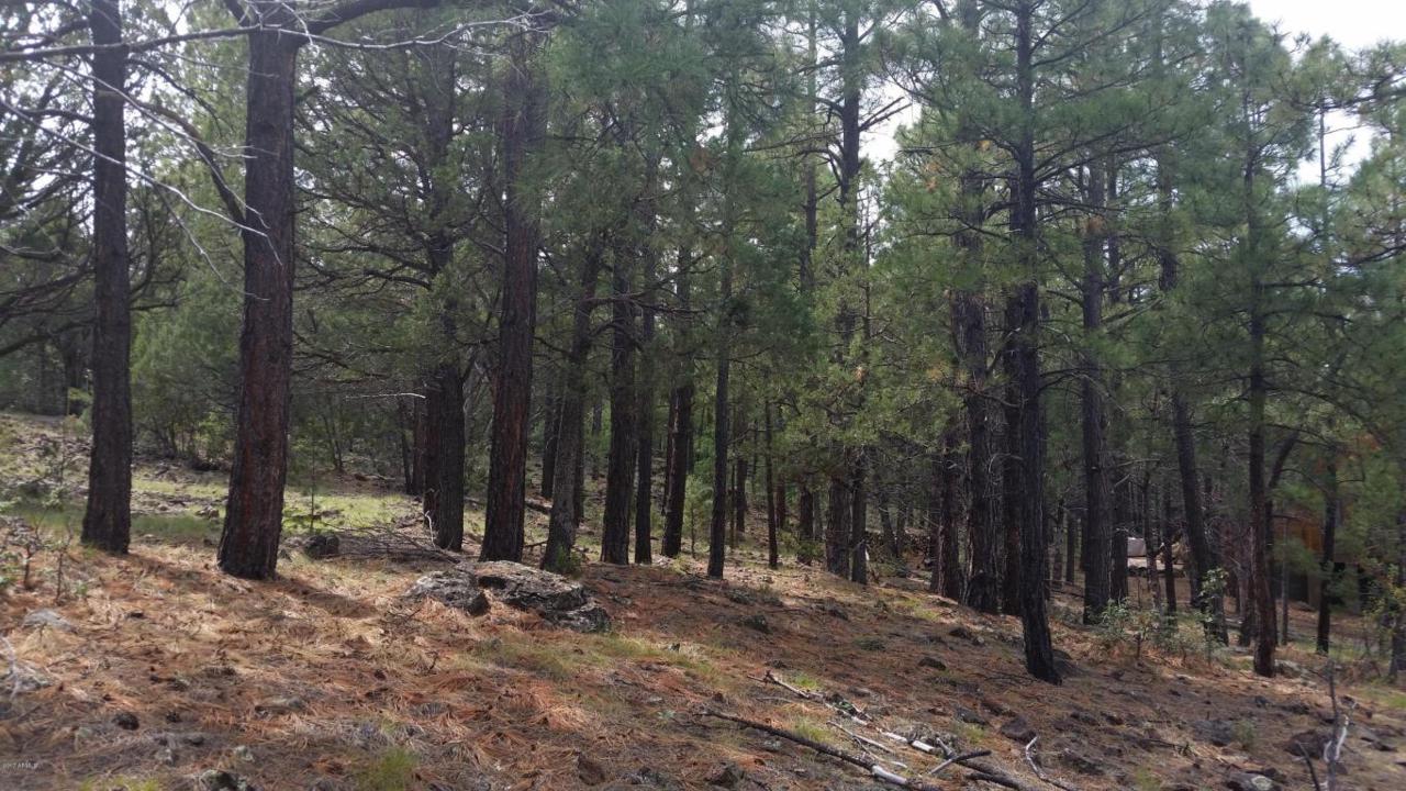 lot 30 Ojo Bonito Estates - Photo 1