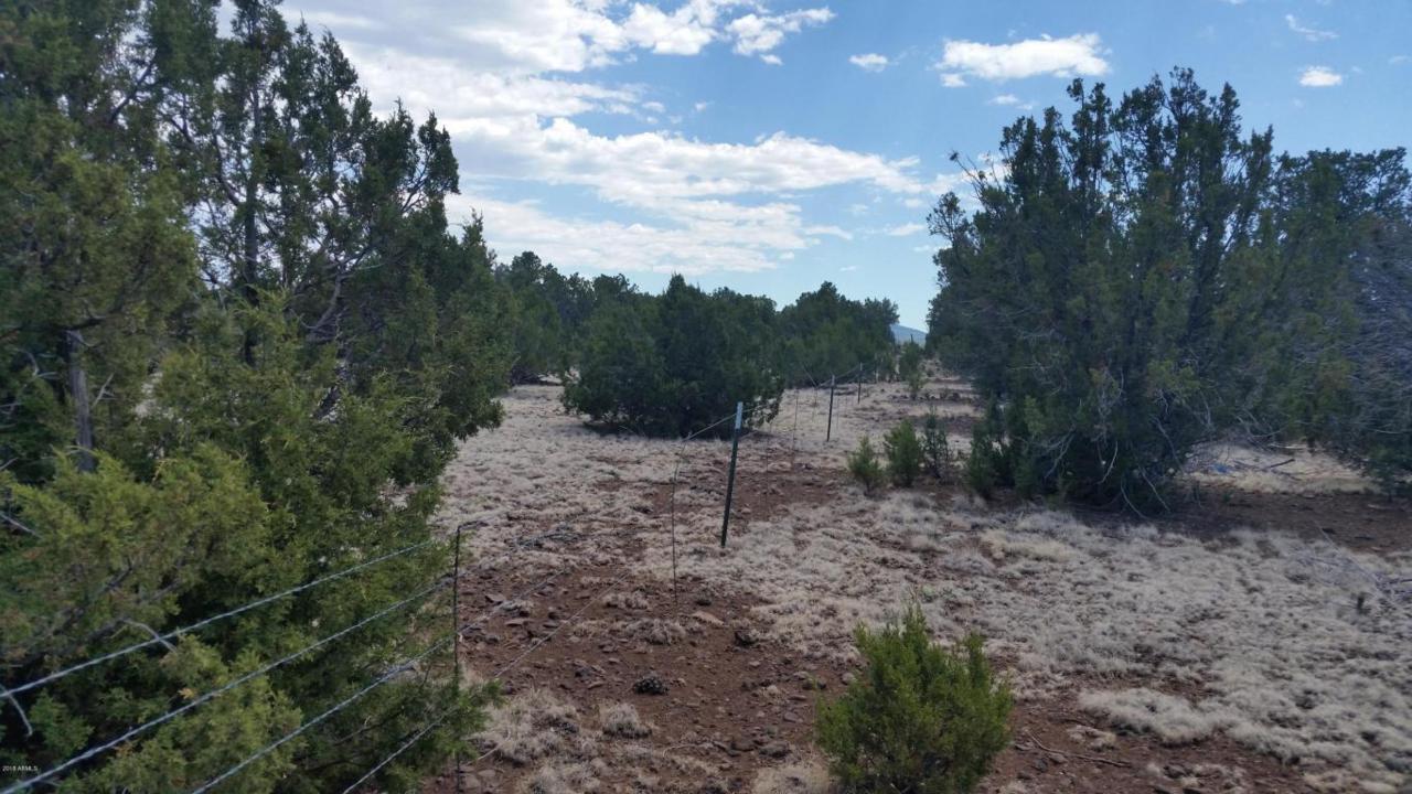 lot 20 Cr 3197 - Photo 1