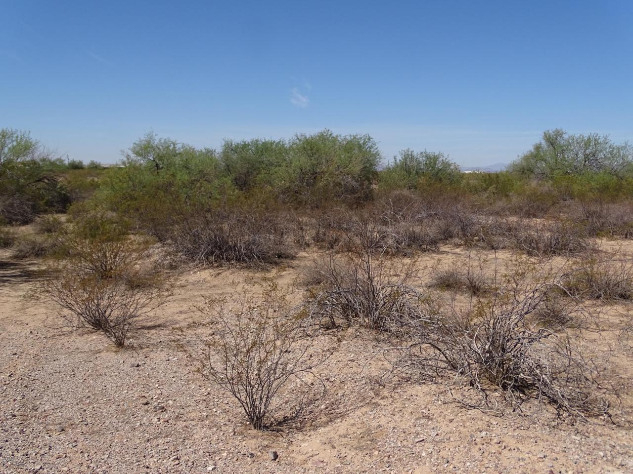 45XX 359th Avenue - Photo 1