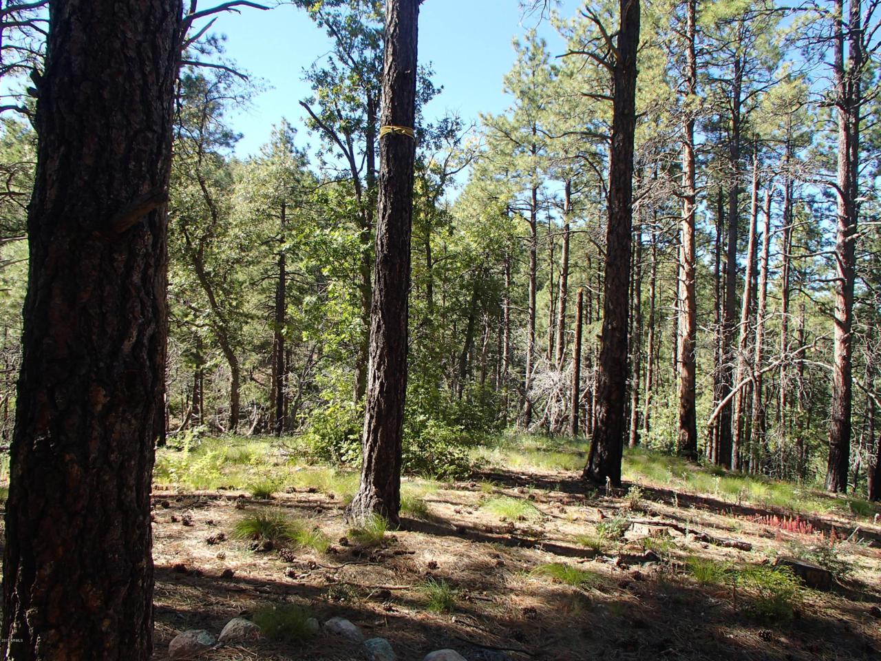 7240 Wild Flower Road - Photo 1