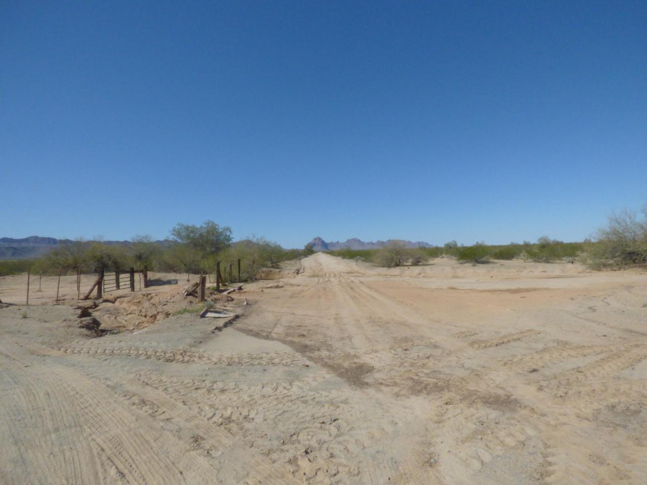 43001 Willetta Street - Photo 1