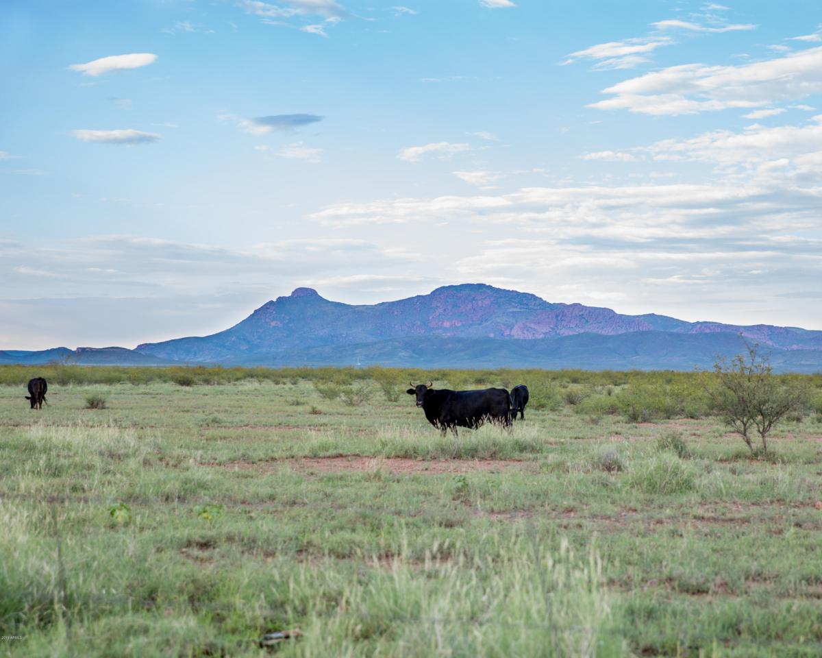 160 AC Leslie Canyon Road - Photo 1