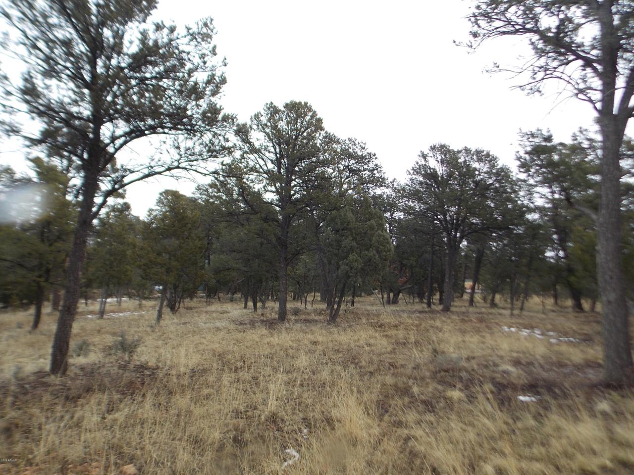 3479 Fence Post Drive - Photo 1