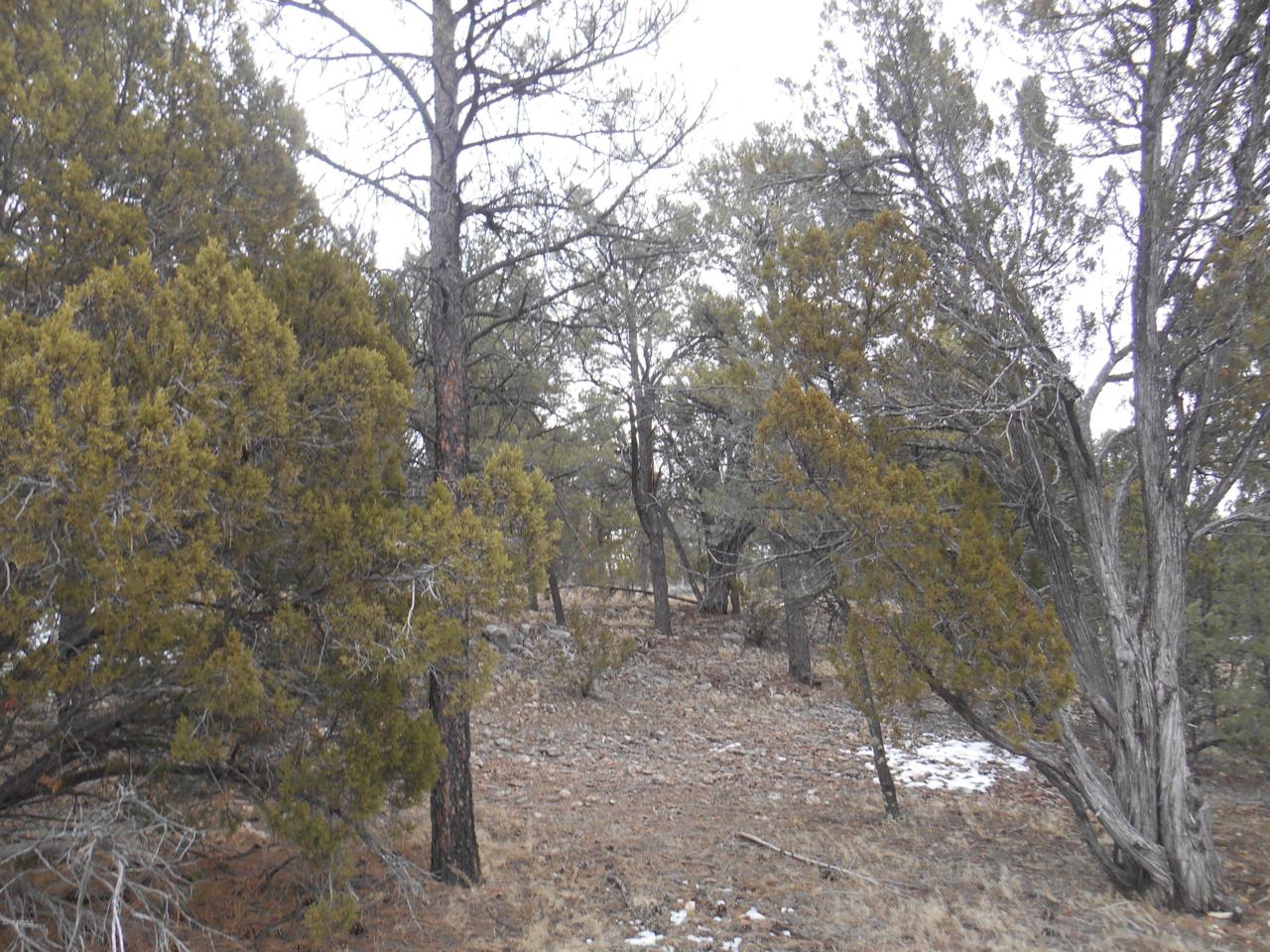 2333 Elk Ridge Lane - Photo 1