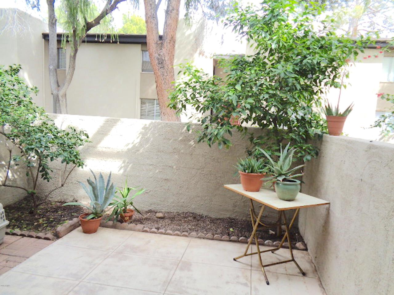 4201 Camelback Road - Photo 1