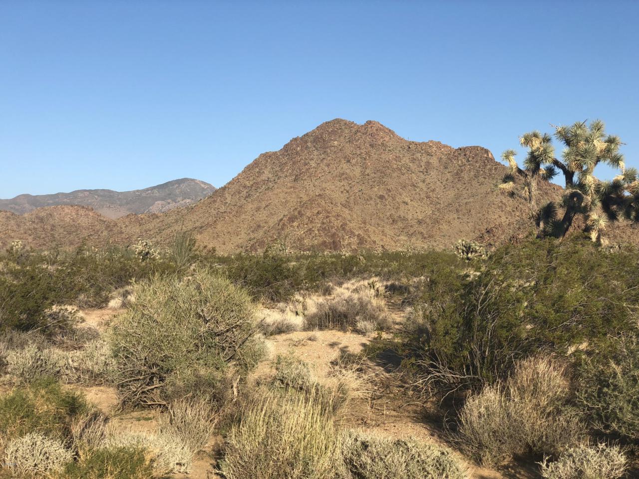 725 Geronimo Road - Photo 1
