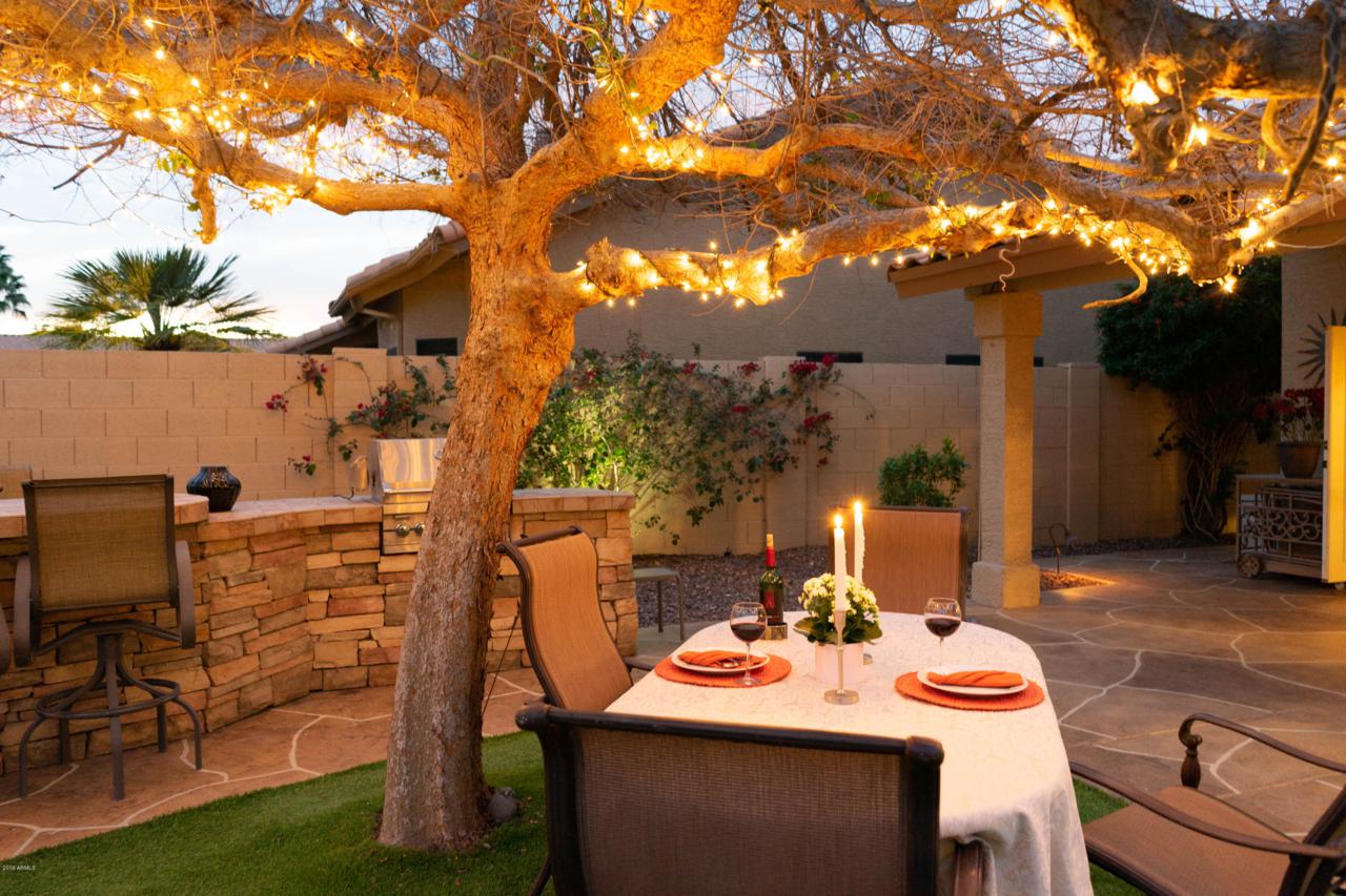 1625 Desert Broom Drive - Photo 1