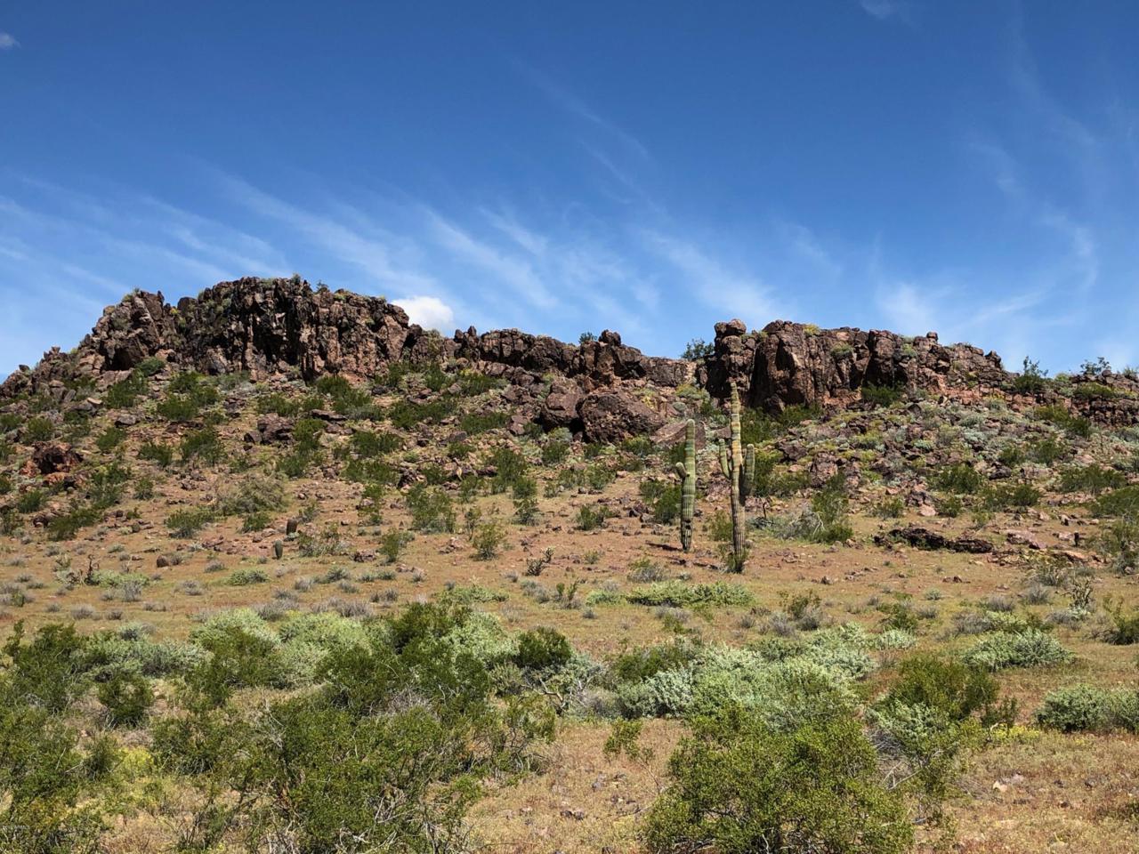 15878 Desert Vista Trail - Photo 1