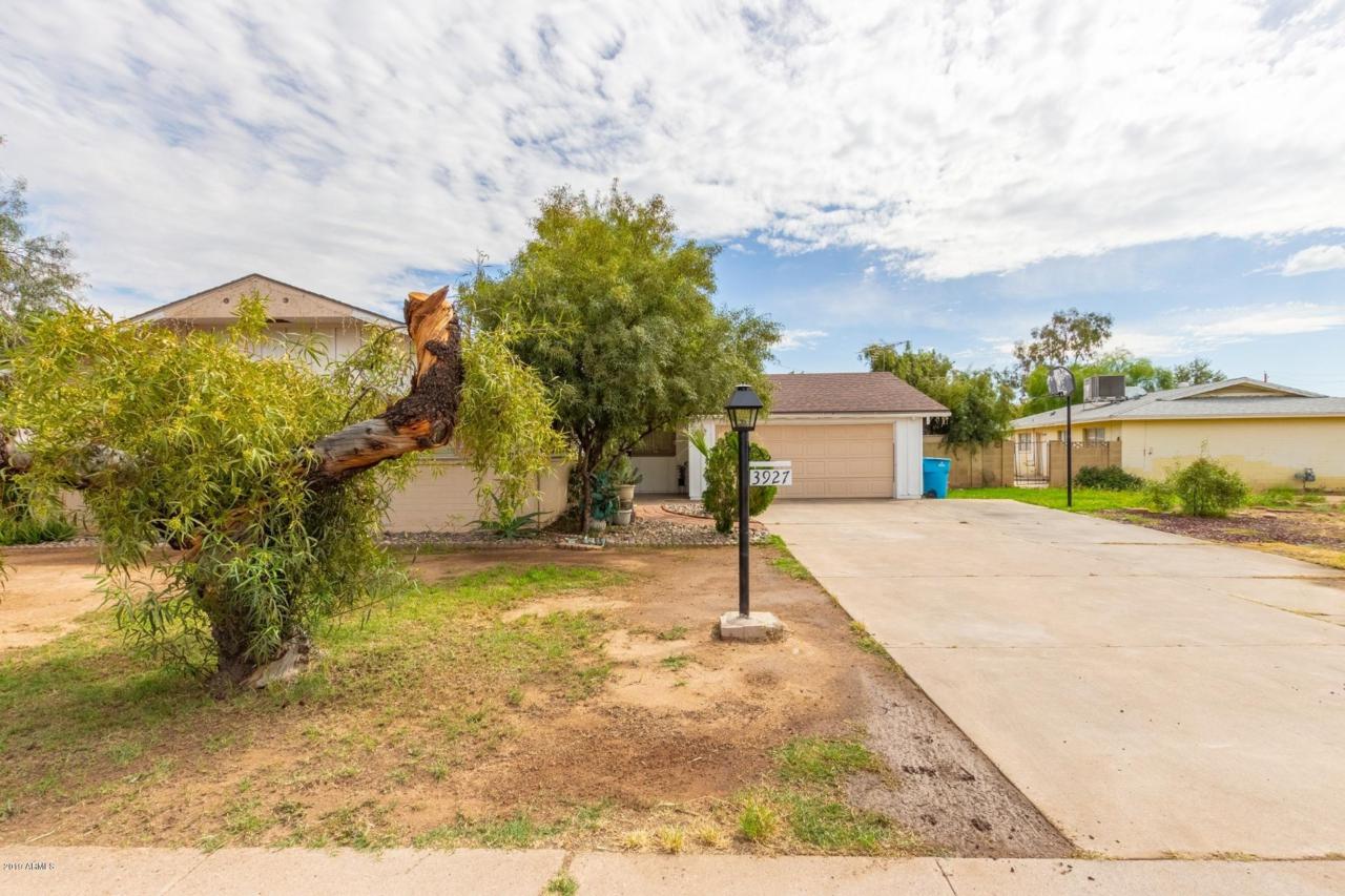3927 Cactus Wren Drive - Photo 1