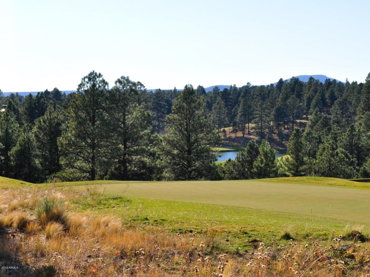 3425 Brown Sage Court - Photo 1