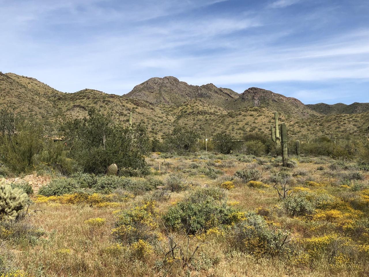 10500 Lost Canyon Drive - Photo 1