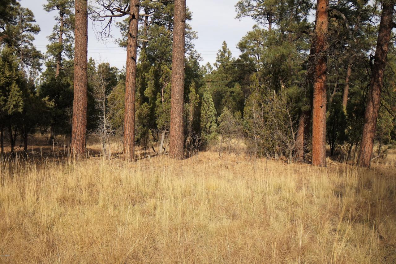 000 White Mountain Boulevard - Photo 1
