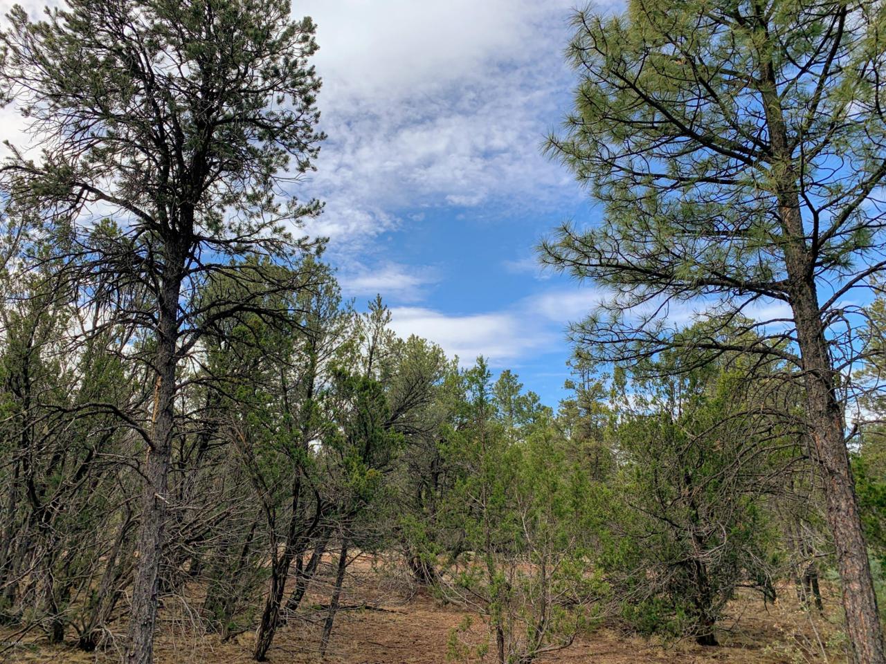 3248 Jeep Trail - Photo 1
