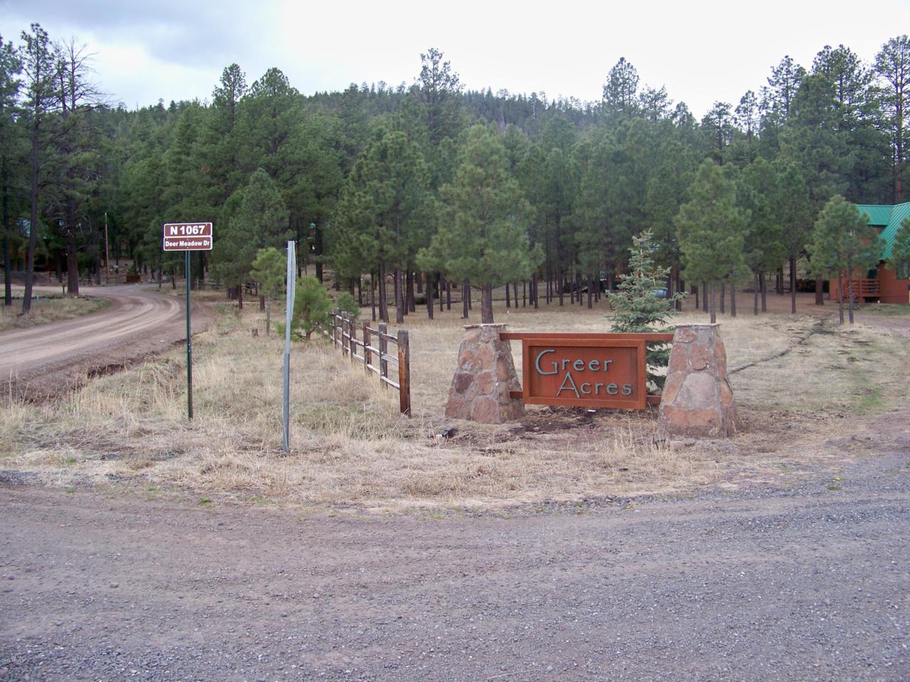 Lot 15 Greer Acres - Photo 1