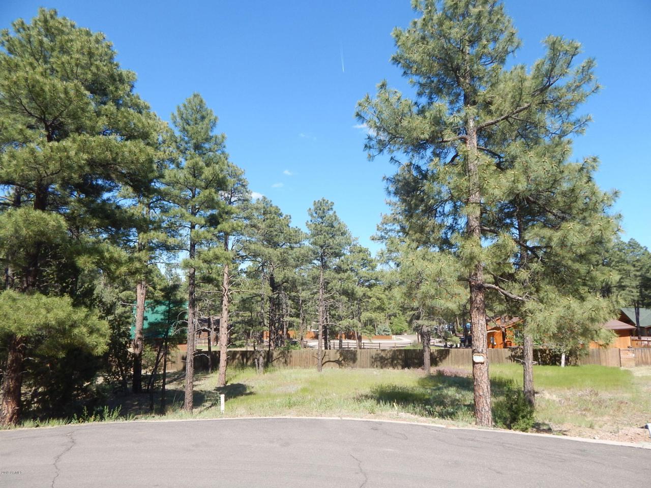 1161 Needles Creek Drive - Photo 1