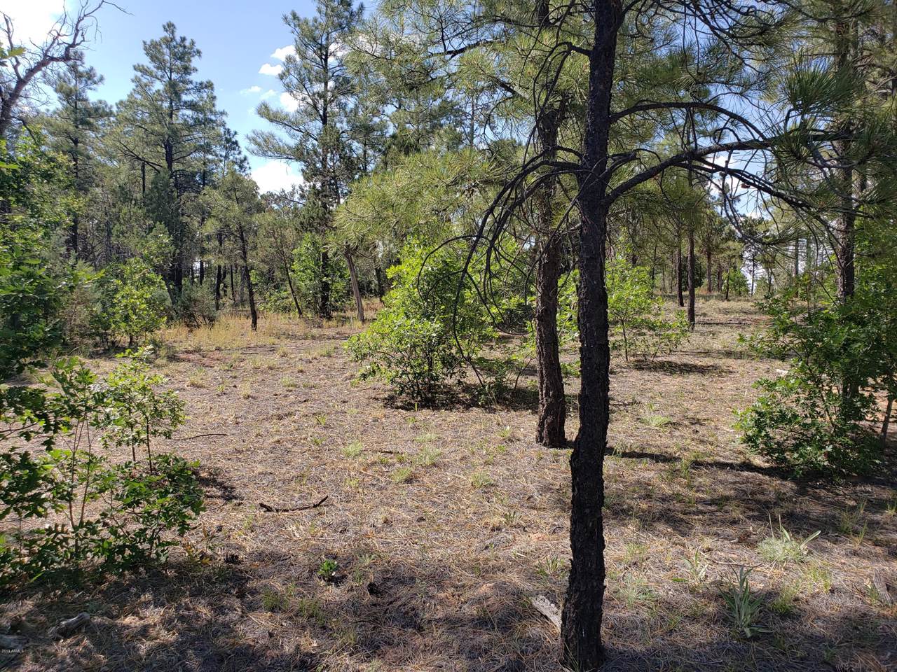 4300 Acer Lane - Photo 1