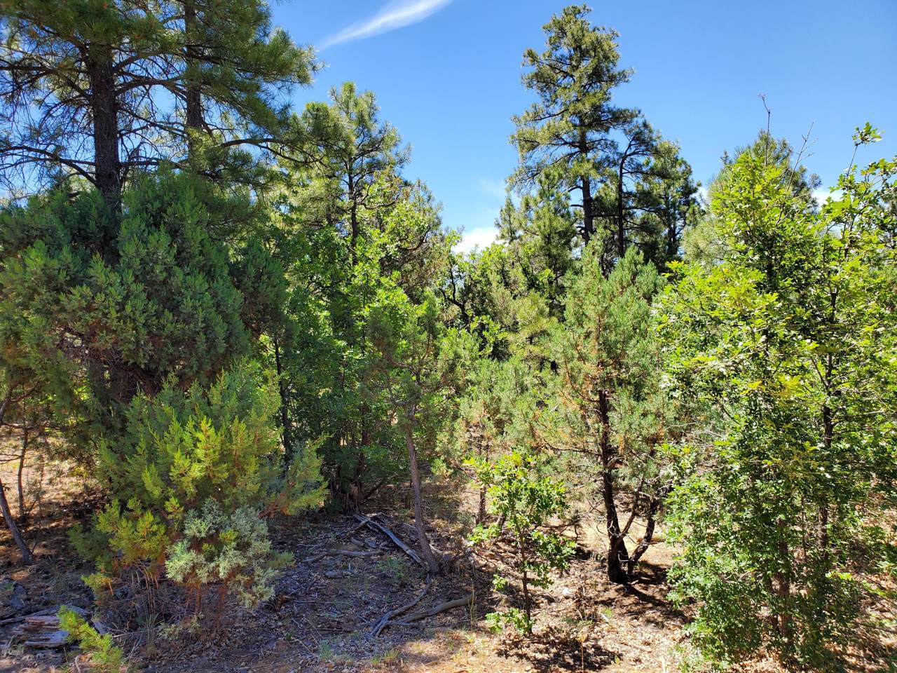 3891 Hawthorn Road - Photo 1
