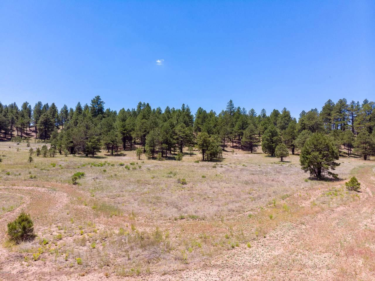 2083 Crimson Road - Photo 1