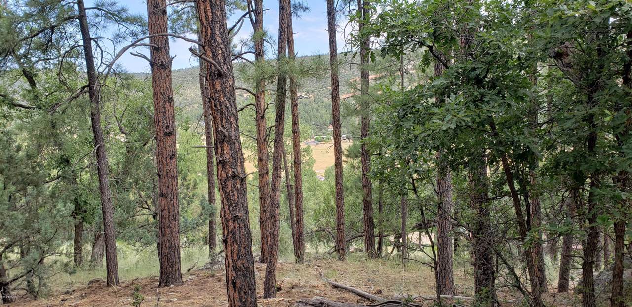 97XX Juniper Road - Photo 1