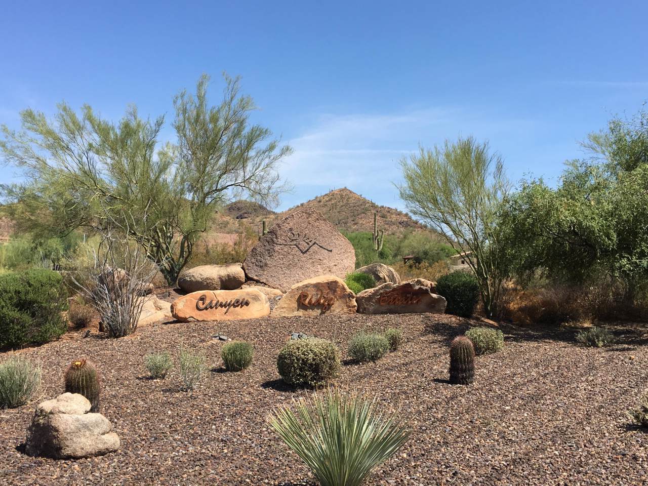 5301 Prickley Pear Road - Photo 1