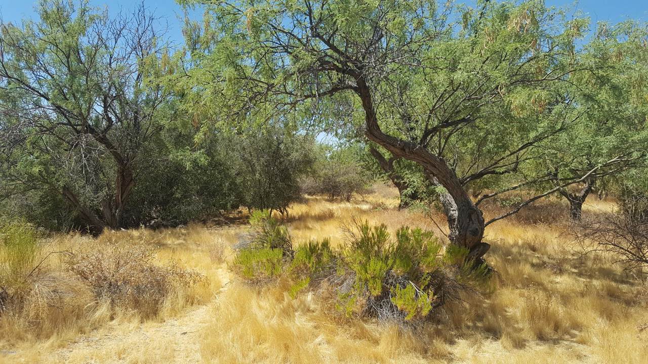 33145 82ND Street - Photo 1