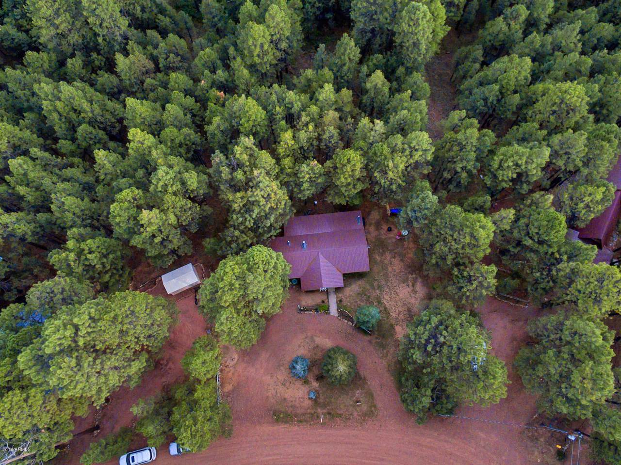 2398 Daisy Trail - Photo 1