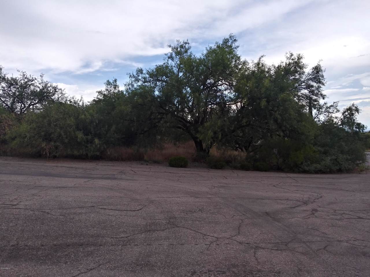 0 Circle Dr Drive - Photo 1