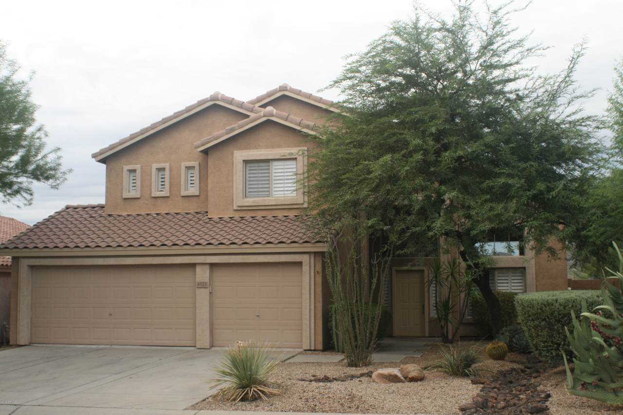 4522 Thorn Tree Drive - Photo 1