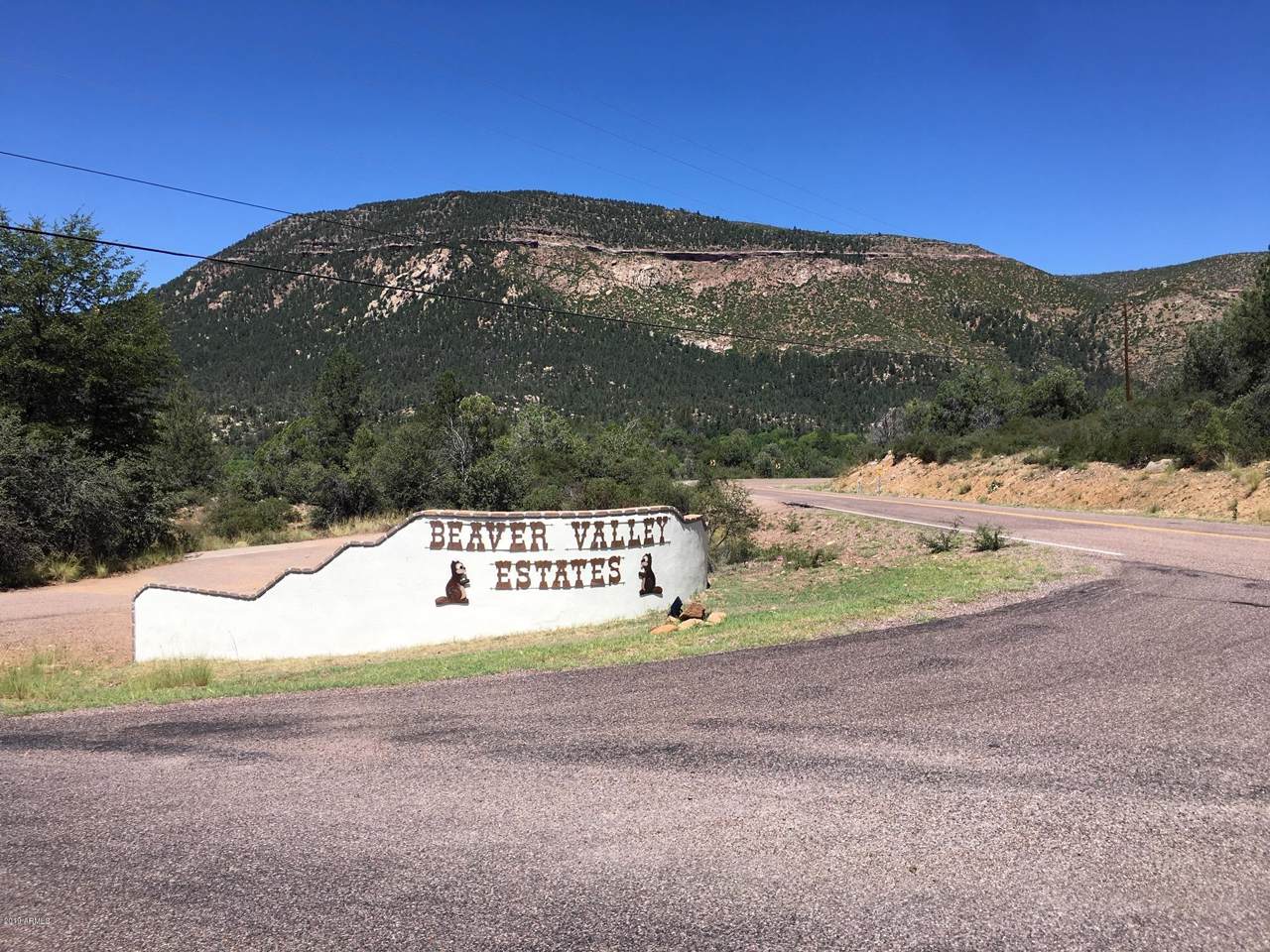 Lot 44 Verde Circle - Photo 1