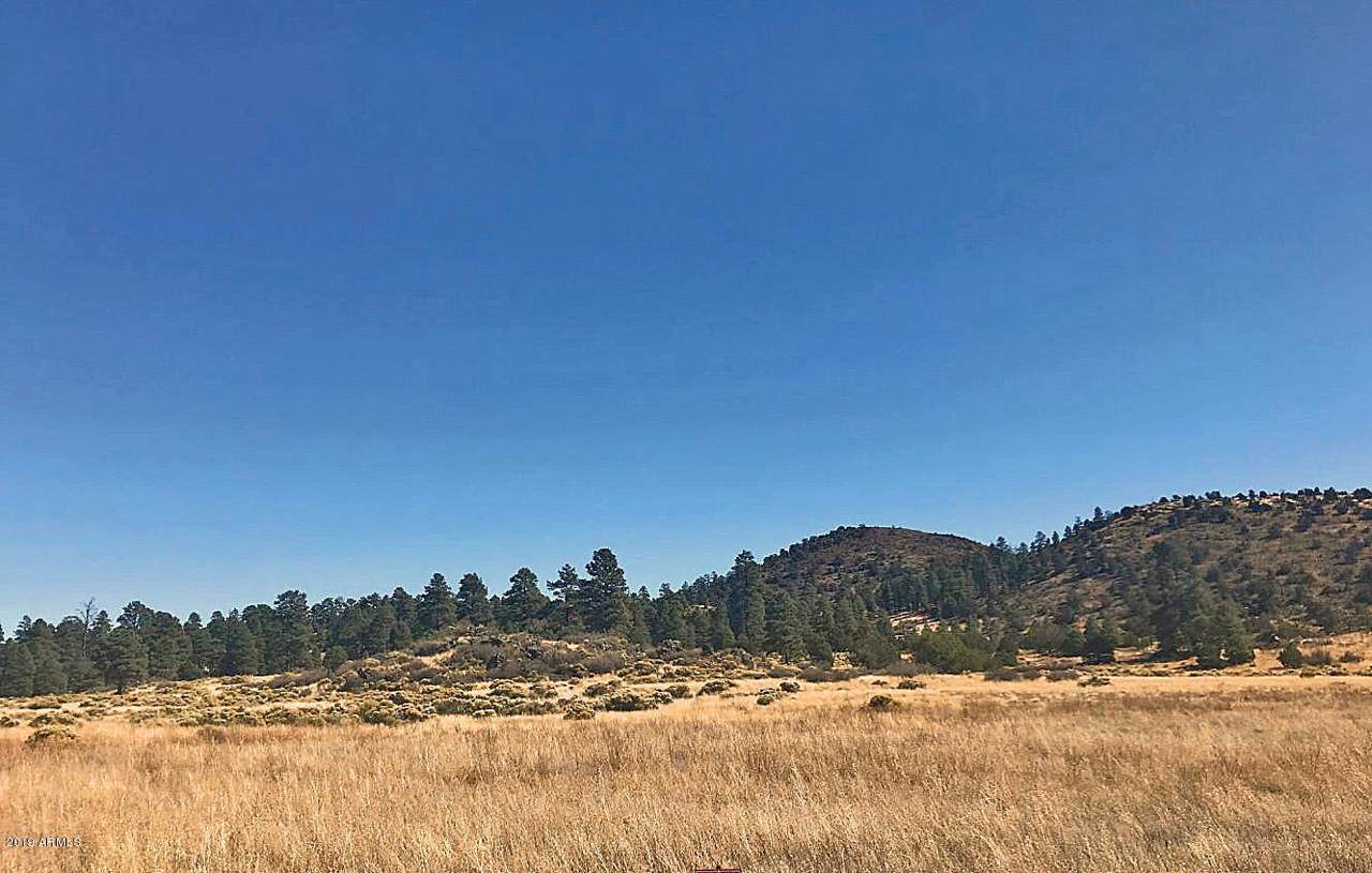 9745 Carl Road - Photo 1
