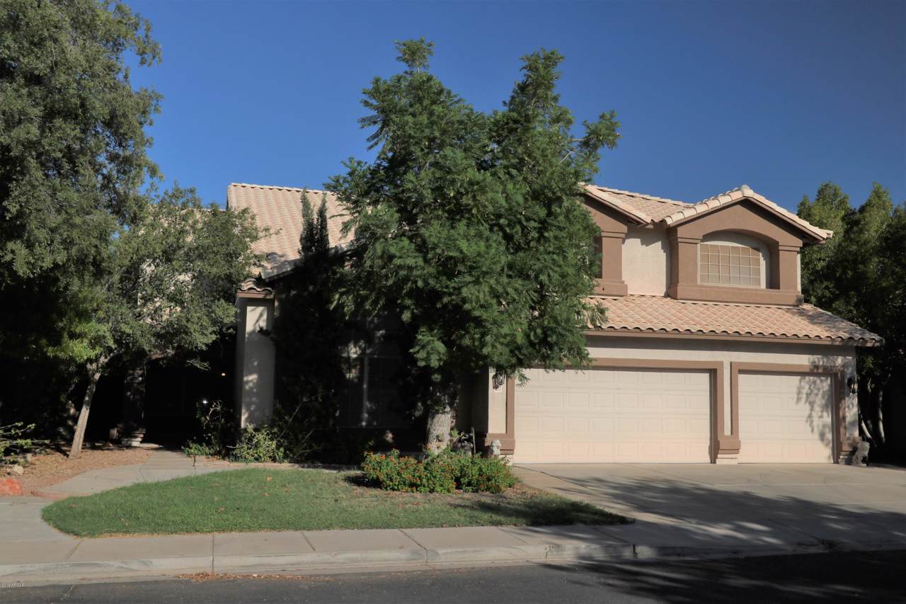 223 Sandstone Street - Photo 1