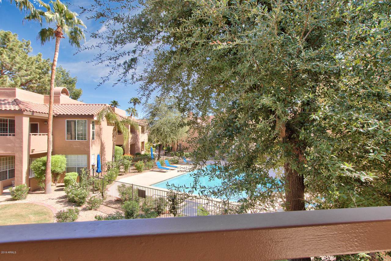 10101 Arabian Trail - Photo 1