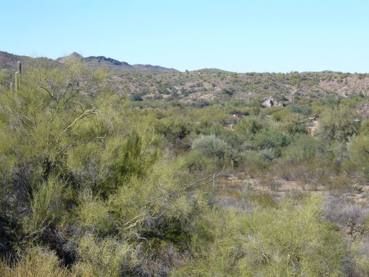 27508 Gill Road - Photo 1