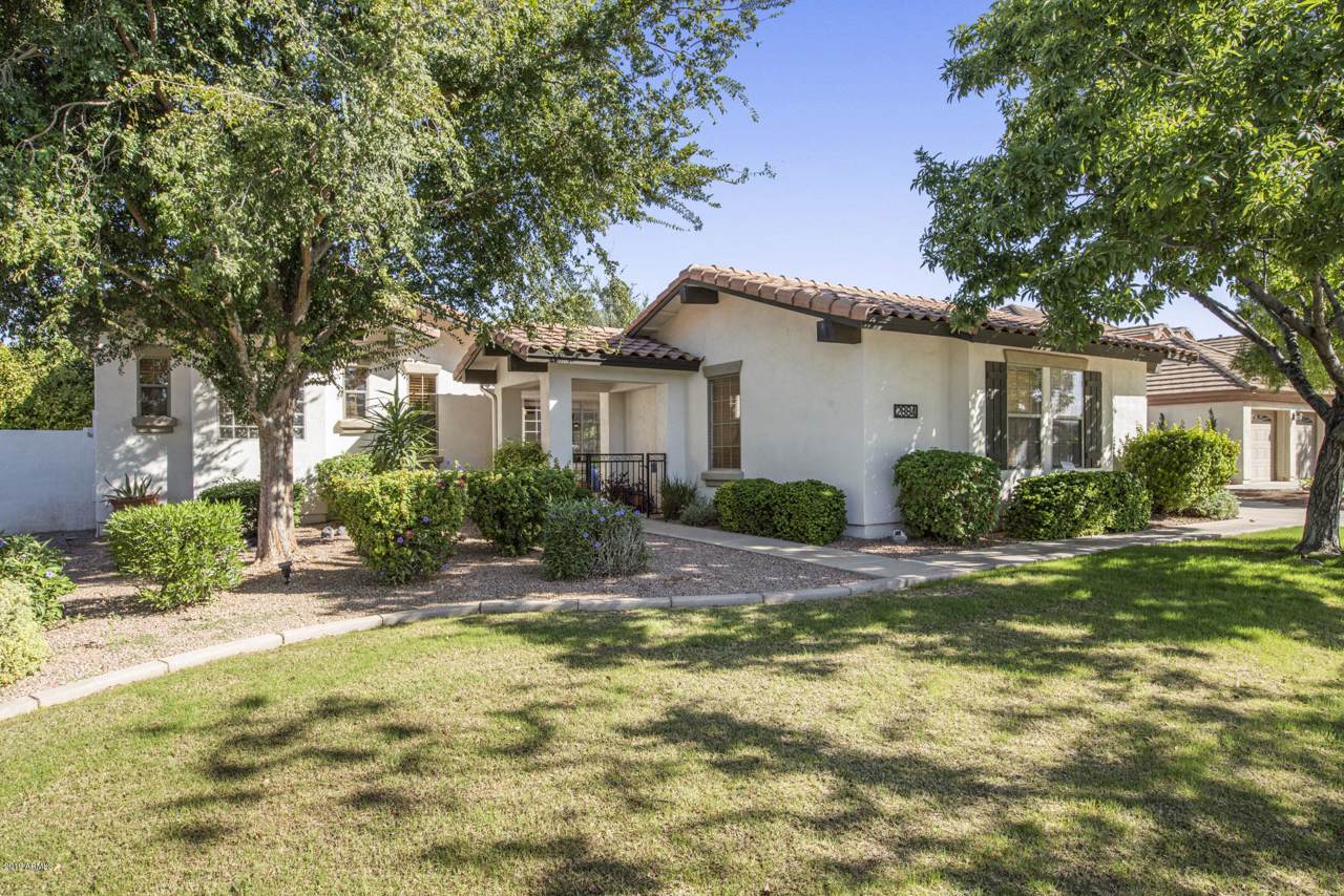2884 Cotton Lane - Photo 1