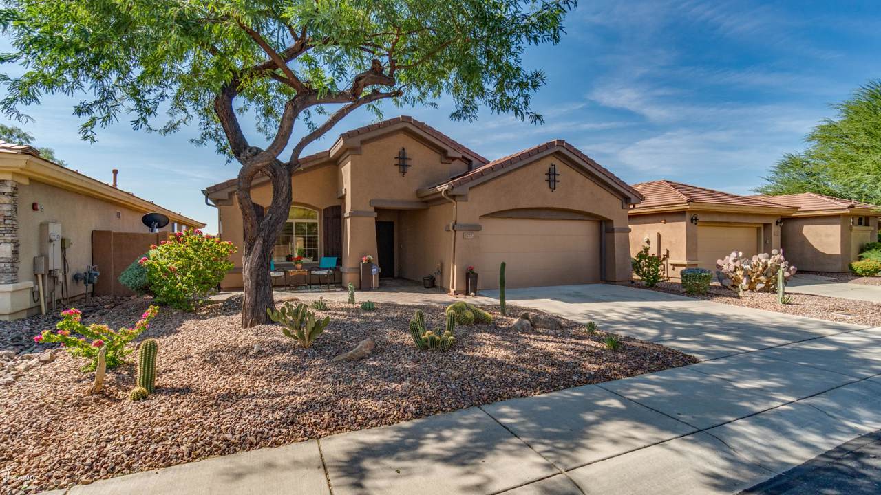 1777 Dion Drive - Photo 1