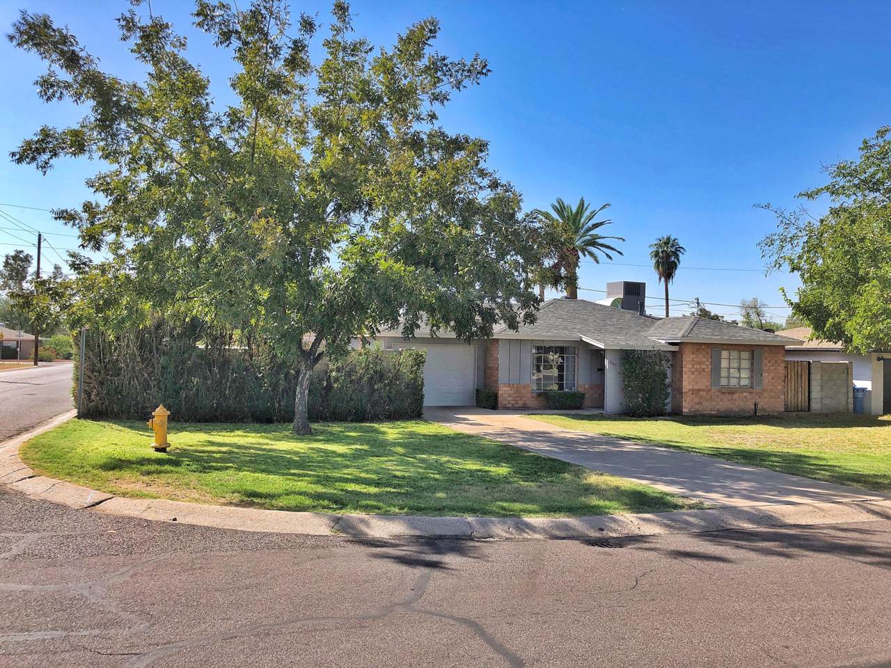 2943 Earll Drive - Photo 1